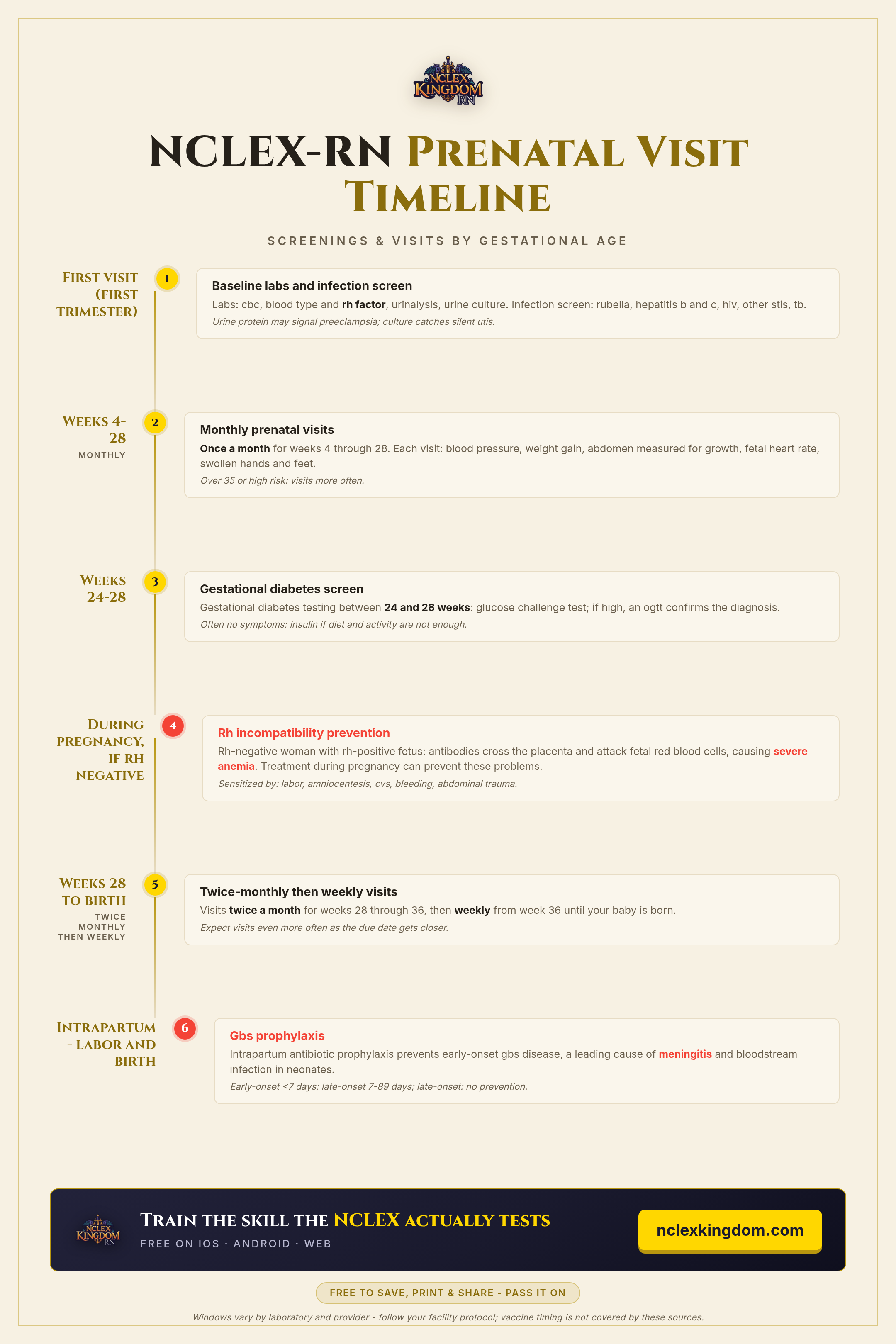 NCLEX-RN Prenatal Visit Timeline Cheat Sheet (Free Printable)